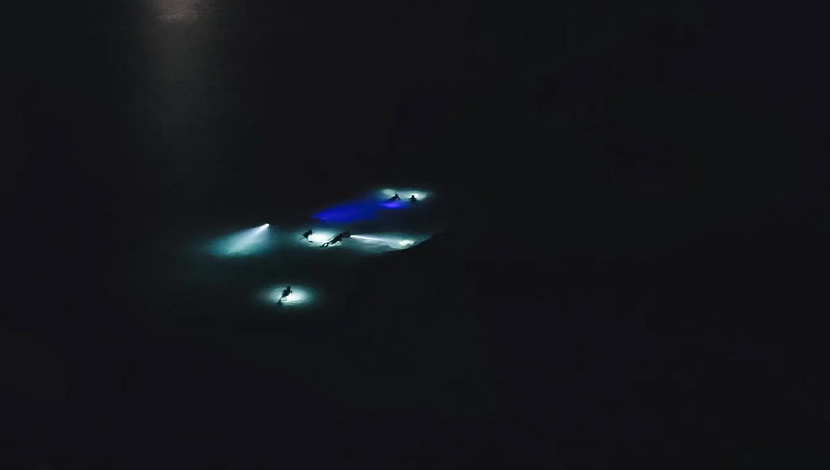 Swimming with Glowing Plankton